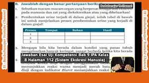 We did not find results for: Jawaban Esai Uji Kompetensi Bab 9 Ipa Kelas 8 Halaman 112 Sistem Ekskresi Manusia Youtube
