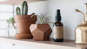 Bright watery cactus and fresh sea salt combine to create a clean, fresh aroma with background hints of soothing musk and light floral under notes. P F Scented Room Sprays Room Scents Natural Bed Company