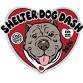 Shelter Dog Dash