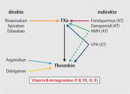 Medizinische und chemische labordiagnostik | lorenz & petek : Antikoagulation Und Antithrombozytare Therapie Springerlink