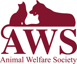On occasion a hurt stray will be brought to us or a pet is abandoned or. Adopt
