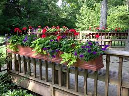 Pin By My Flower Service On Window Boxes And Container Gardens Deck Planters Deck Railing Planters Railing Planters