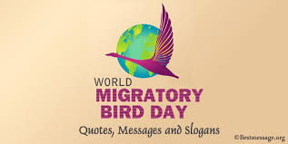 Science writers may report on asteroids one day, hiv vaccine experiments the next, sonar. World Migratory Bird Day Quotes Messages And Birds Slogans