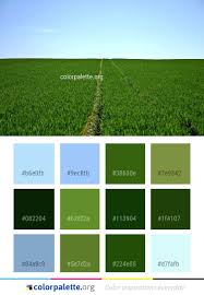 Grassland Field Agriculture Color Palette Colors Inspiration Graphics Design Inspiration Beautiful Colorpalette P Color Palette Color Inspiration Color