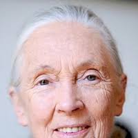 Family tree of Wolfgang RUGE