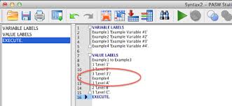 Using Syntax To Assign Variable Labels And Value Labels In Spss Stats Make Me Cry Consulting Syntax Variables Labels