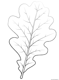 Free cliparts that you can download to you computer and use in your designs. English Oak Leaf Coloring Pages Printable