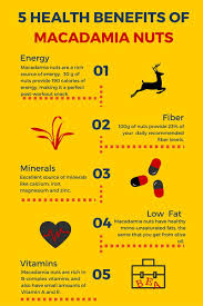 5 Health Benefits Of Macadamia Nuts Macadamia Nuts Nut Benefits Macadamia