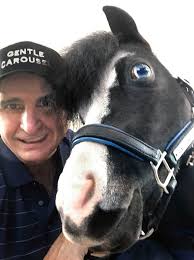 Gentle Carousel Miniature Therapy Horses