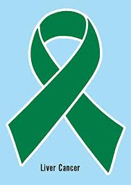 Check spelling or type a new query. Liver Cancer Ribbon Green Printed Vinyl Decal Sticker Label For Car Cell Phone Window Computer Ipad Iphone Wall Etc Buy Online In China At China Desertcart Com Productid 15173757