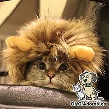 omg adorables lion mane costume for cat pet lion dog lion mane lion mane