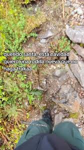 Image result for tbn:Qm8QJA0FQGkeJM::www.trekkingchile.com/Images/mis_fotos/1201890604.jpg