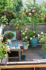 Legende Wie Rosen Auf Balkon Terrasse Und Terrasse Wachsen Knitting Crochet Architecture Beauty Fashion Small Balcony Garden Potted Trees Patio Garden