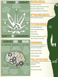Pin On Cannabis Hemp Marijuana Facts