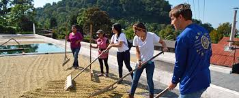 Margaret Moose Swallow Alternative Break Scholarship Fund