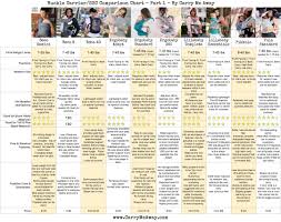 comparison chart for choosing the best buckle carrier