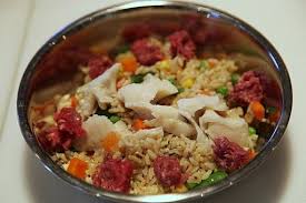 Homemade Dog Food For Us The Daily Wag Pets Marthastewart Com Dog Food Recipes Healthy Dog Food Recipes Homemade Dog Food