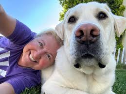 Effective over the counter dog flea and tick preventatives?