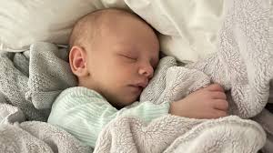 Fundraiser by Justine Griffiths : In loving memory of Phoenix