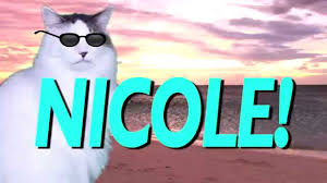 Happy Birthday Nicole Epic Cat Happy Birthday Song Youtube Happy Birthday Nicole Happy Birthday Song Birthday Songs