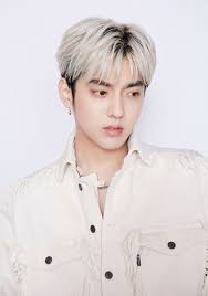 吴亦凡 / wu yi fan. é­å®˜æ–¹ç‚¹ååŠ£è¿¹è‰ºäººå´äº¦å‡¡çŽ©å®Œ ä¸­åœ‹å ±china Press