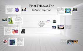 We did not find results for: Plant Cell As A Car By Sarah Edgerton