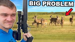 A Good Old Layton Lakes Hunt