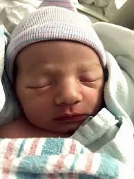 Kitty Hawk Animal Hospital