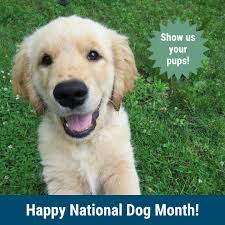 Charleston Veterinary Referral Center (@cvrc_charleston_vet_referral) ·  Charleston, SC