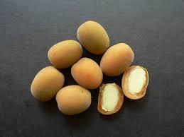 Image result for Zanha africana