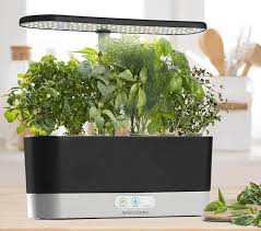 Las mujeres, porque es considerada una poderosa planta femenina. Un Huerto Inteligente Para La Cocina Entre La Utilidad Y El Entrenimiento Cocinas Con Estilo