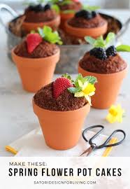 Spring Flower Pot Cakes Recipe In 2020 Pot Cakes Flower Pot Cake Spring Desserts