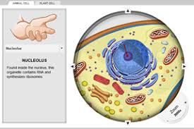 Plate tectonics student exploration document translated into french. Science Do Now Linder Lessons Blendspace