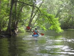 Ocklawaha River Paddling In North Florida Canoe Kayak