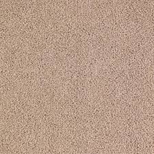 Petproof Collinger Ii Color Roadside Textured 12 Ft Carpet