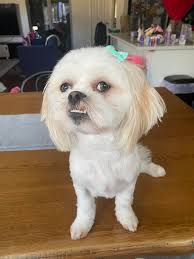 In honor of her Birthday