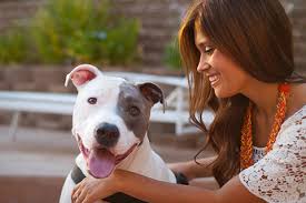 Born and raised in san diego, rozel always knew she wanted to work with animals. Animal Care Clinic Veterinarian In El Cajon Ca Us