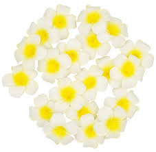 Artificial Frangipani Flowers X20 Small 4 5cm Foam Plumeria Fake Hawaiian Bridal For Sale Online Ebay