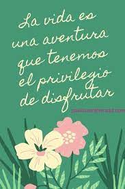 We did not find results for: 28 Spanish Quotes About Life That Will Make You Feel Good Paulina On The Road