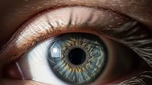 Image result for Pupil