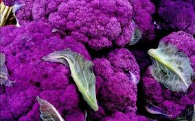 Organosulfur compounds are organic compounds that contain sulfur. The Complete List Of Foods High In Sulfur Women Com