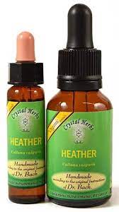 Heather Bach Flower Remedies Flower Essence Shop Crystal Herbs