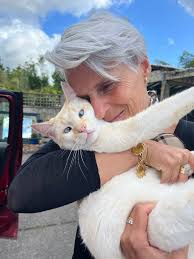 Hi everyone! My name is Tara, I'm a mobile professional cat sitter based in  Milton Keynes. Are you going