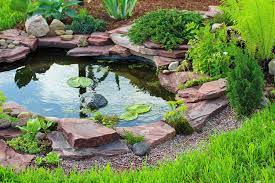 Your skimmer will sweep up whatever the fish miss. 3 Things To Consider Before Installing A Pond Vulcan Termite Pest Control
