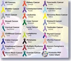 Uncommon or rare cancers may be represented in a few ways—either with a light purple ribbon or a black and white zebra print ribbon. 7 Cause Ribbons Ideas Awareness Ribbons Cancer Awareness Cancer