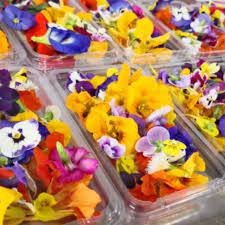 Large white flowers are fragrant at night; Fresh Edible Flower Spring Medley Mix Viola Dianthus Shopee Malaysia