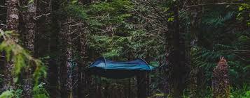 Helps you prepare job interviews and practice interview skills and techniques. Lawson Hammock The Blue Ridge Camping Hammock Campmor Outdoors