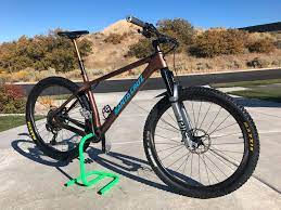 When brown, may have faint markings on the back. Custom Santa Cruz Chameleon Projectmayhem S Bike Check Vital Mtb