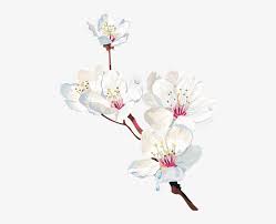 Tubes Arbres Arbustes Feuillages Cherry Blossom Png Watercolor Cherry Blosom Transparent Png Flower Art Flower Drawing Sakura Painting