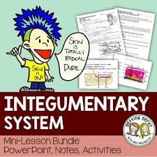 Integumentary System Human Body Distance Learning Digital Lesson In 2021 Integumentary System Life Science Lessons Human Body Systems